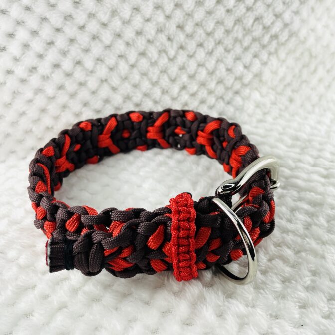 ベルトタイプの首輪