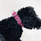 パラコード編み皮膚に優しい首輪