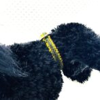 パラコード首輪