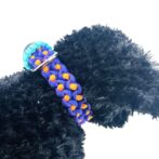 マクラメ編み犬首輪犬に装着アップ