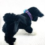 マクラメ編み犬首輪犬に装着遠目