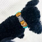 マクラメ編み犬首輪