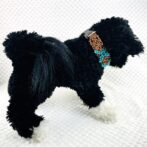 マクラメ編み犬首輪