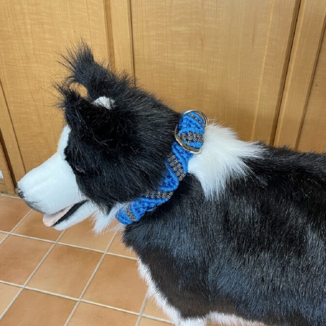 マクラメ編み犬首輪犬に装着