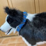 マクラメ編み犬首輪犬に装着アップ