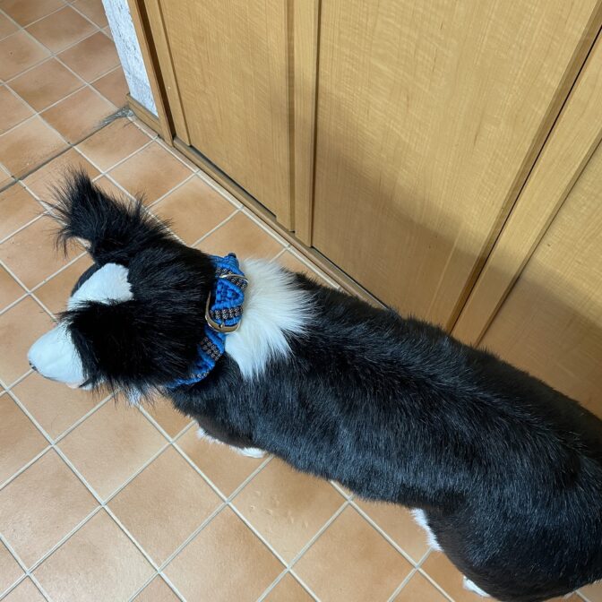 マクラメ編み犬首輪犬に装着上から