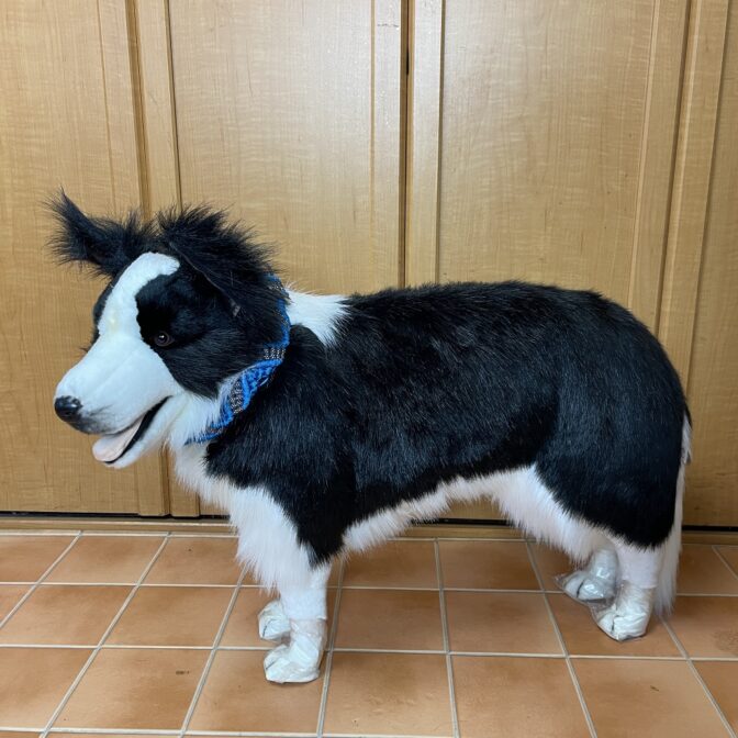 マクラメ編み犬首輪犬に装着横から