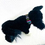 マクラメ編み犬首輪犬に装着真上から