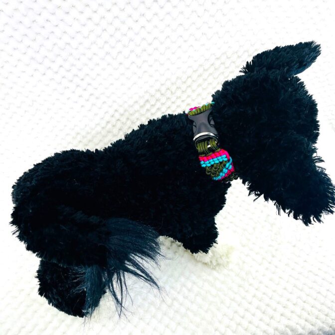 マクラメ編み犬首輪犬に装着真上から