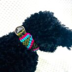 マクラメ編み犬首輪犬に装着アップ