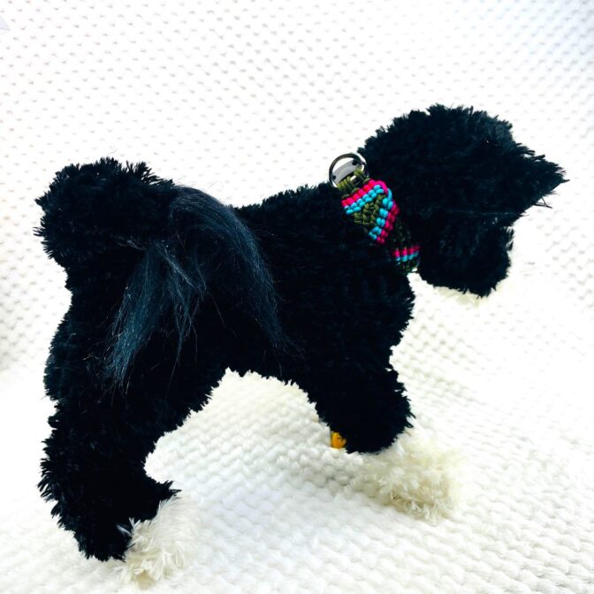 マクラメ編み犬首輪犬に装着遠目