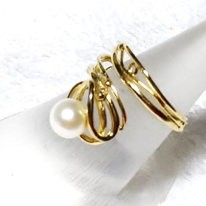 シルバーリングをリング縦にいれた横向き画像