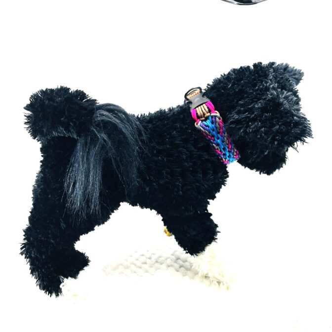 犬が装着したマクラメ編み犬首輪