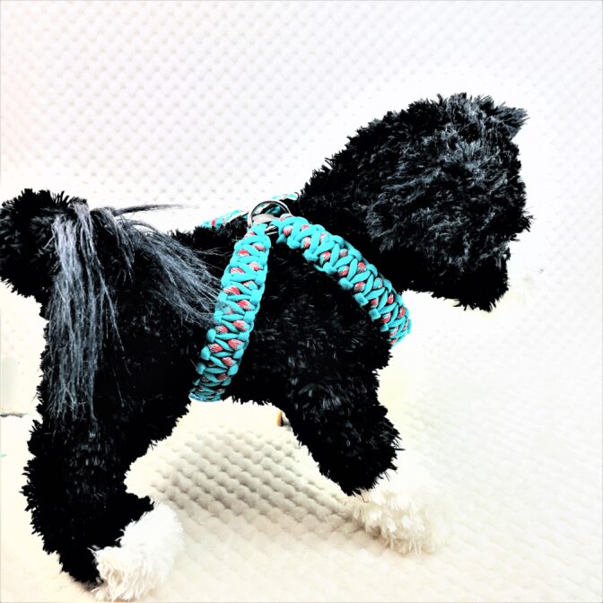 パラコード編みハーネス犬装着画像