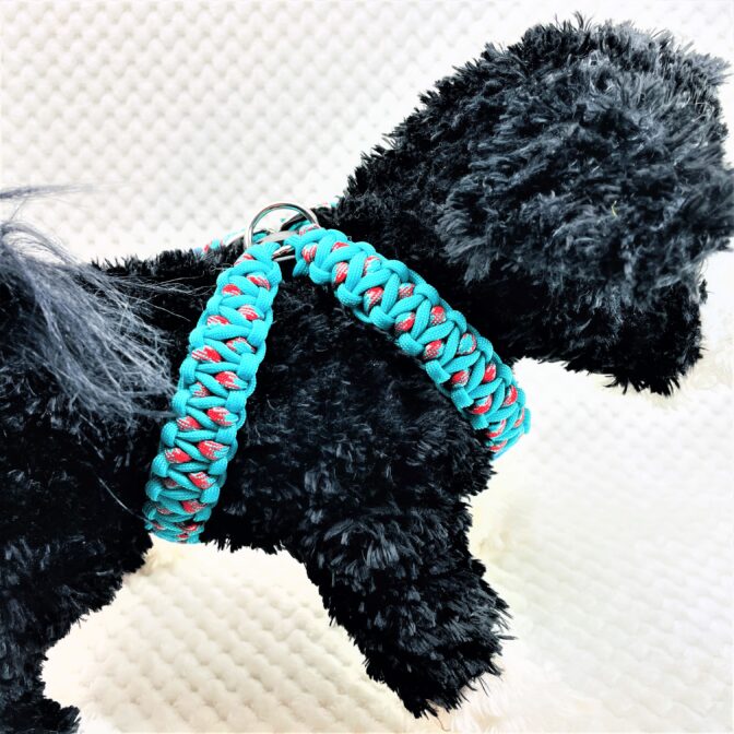 パラコード編みハーネス犬装着画像アップ