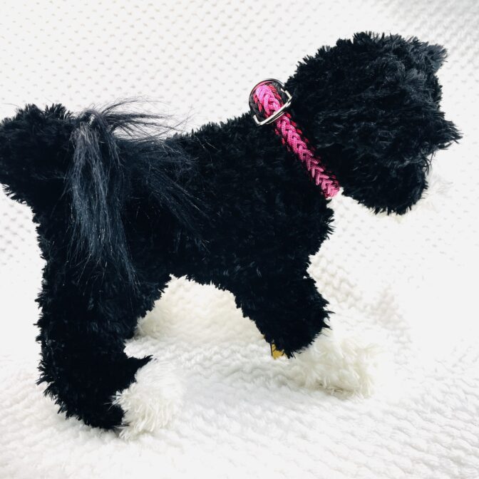 パラコード編み犬首輪装着画像横向き画像