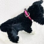 パラコード編み犬首輪装着画像背面画像