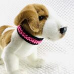 パラコード編み犬首輪装着画像正面画像