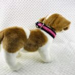 パラコード編み犬首輪装着画像横向き画像