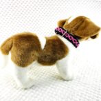 パラコード編み首輪犬に装着全体部分