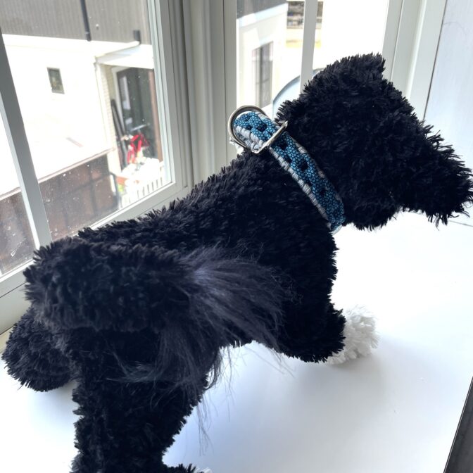 パラコード編み犬首輪装着全体アップ