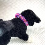 [パラコード編み犬首輪 ]#266バレリア編犬首輪装着画像