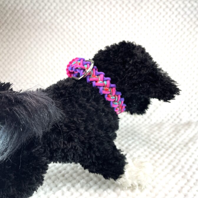 [パラコード編み犬首輪 ]#266バレリア編犬首輪装着画像