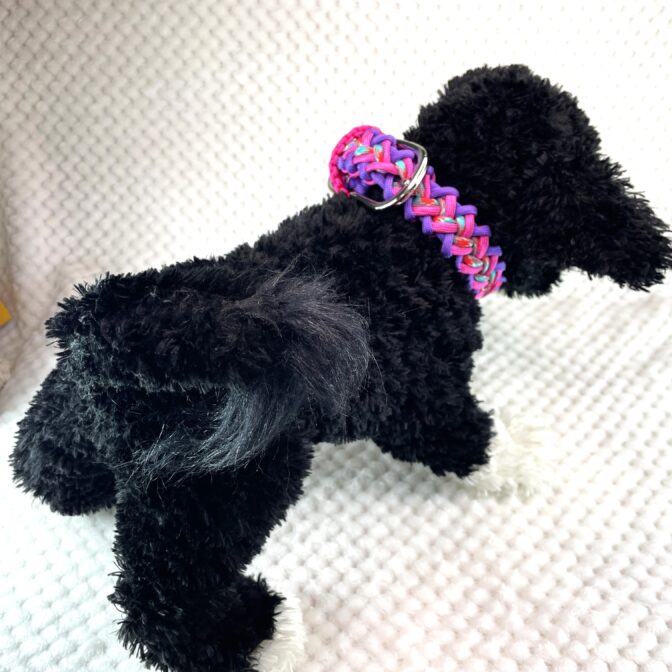 [パラコード編み犬首輪 ]#266バレリア編犬首輪装着した全体画像