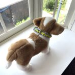 [公式]パラコード編み犬首輪#267バレリア編みカラフル小型犬首輪犬が装着した全体画像