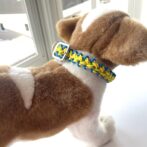 [公式]パラコード編み犬首輪#267バレリア編みカラフル小型犬首輪装着したアップ
