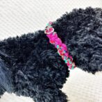 パラコード編み犬首輪