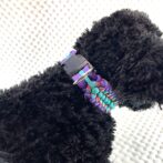 [公式]パラコード編み#269 中型・大型犬用首輪