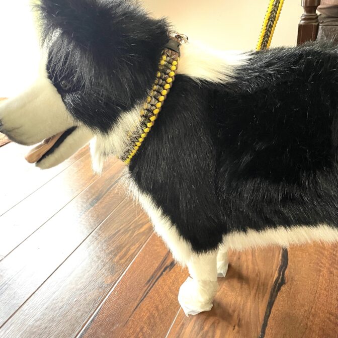 [公式]＃70セレブ愛用サイズ調節可能ワンタッチ着脱首輪＆リードセット