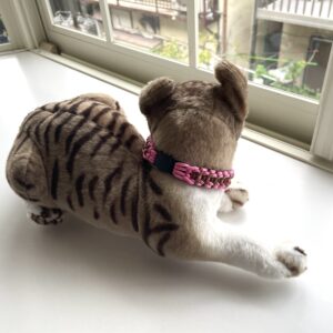 271 3 | エツコナカムラ・アクセサリーブランド|舞ジュエリー いぬねこ首輪猫に装着画像横向き