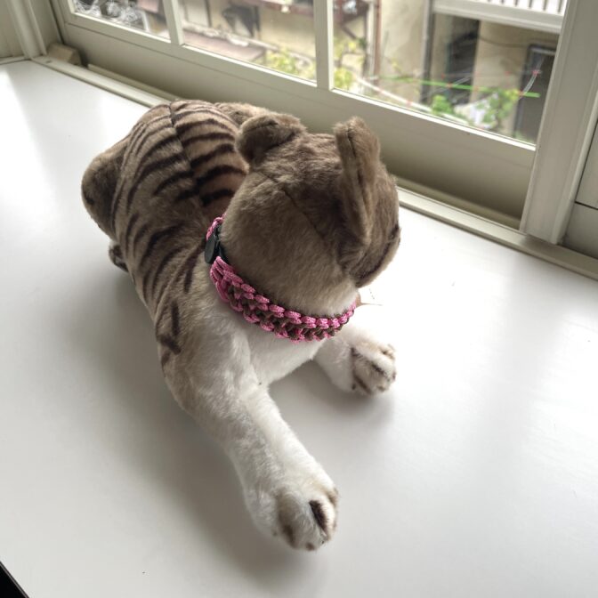 いぬねこ首輪猫に装着画像正面向き