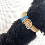 [公式]#275パラコード編み犬首輪中型犬用ゴールド色首輪犬にsぷちゃくアップ背中