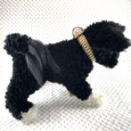 [公式]#275パラコード編み犬首輪中型犬用ゴールド色首輪装着