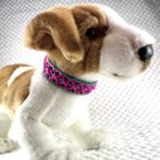 [公式]#277 「最後のモヒート」 小型犬バージョン犬のい装着正面画像