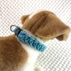 [公式]#278パラコード編み犬首輪プリュシェヴィク編み 小型犬首輪犬に装着したアップ