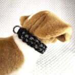 [公式]＃284 パラコード犬首輪エッジが丸い皮膚に優しい小型犬・中型犬首輪犬に装着したアップ