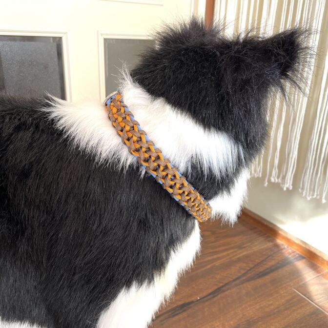 [公式]#286 パラコード首輪 中型・大型犬用 名称は「マンモスの牙」を犬に装着させたアップ