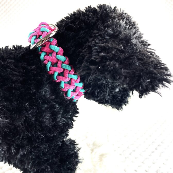 [公式]#288 2色使いの中型・大型犬首輪犬に装着アップ