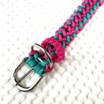 [公式]#288 2色使いの中型・大型犬首輪金具部分の表側