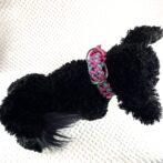 [公式]#288 2色使いの中型・大型犬首輪犬に装着背中側