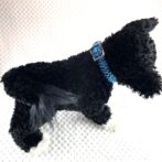 [公式]#291パラコード編み犬首輪2色使いの小型犬首輪黒犬装着全体画像