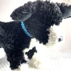 [公式]#291パラコード編み犬首輪2色使いの小型犬首輪黒犬装着正面アップ