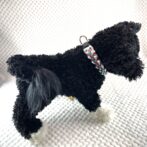 [公式]＃280パラコード編み ウルフクリーク　小型犬・中型犬首輪犬に装着した全体