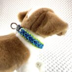[公式]＃289 4色パラコード編み犬首輪　小型犬用犬に装着アップ