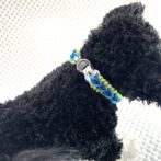 [公式]＃289 4色パラコード編み犬首輪　小型犬用黒い犬に装着横側
