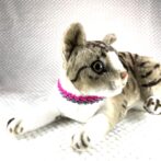 [公式]#283 パラコード編み犬首輪 猫用首輪両片結び猫に装着した状態正面